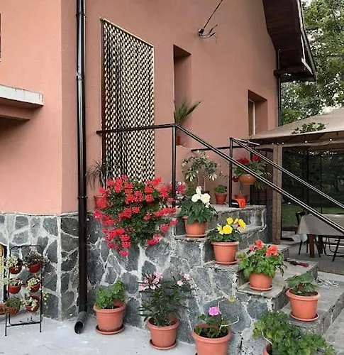 вайлин Батак