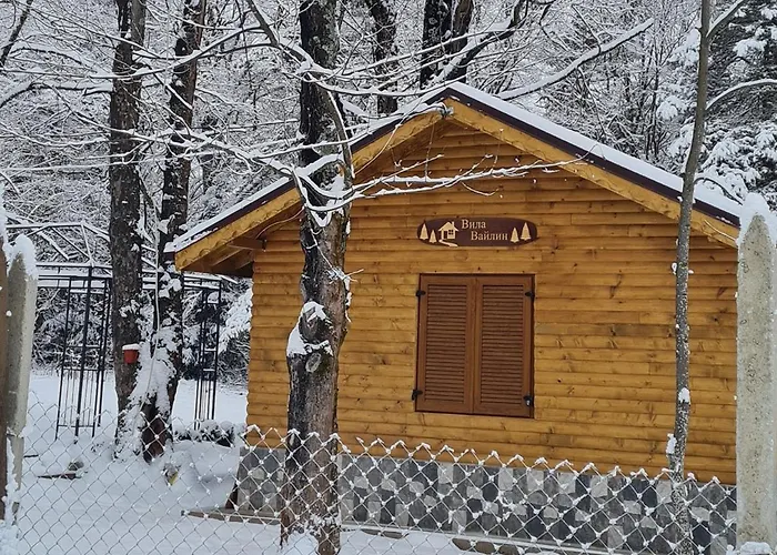 Ваканционна къща вайлин Батак