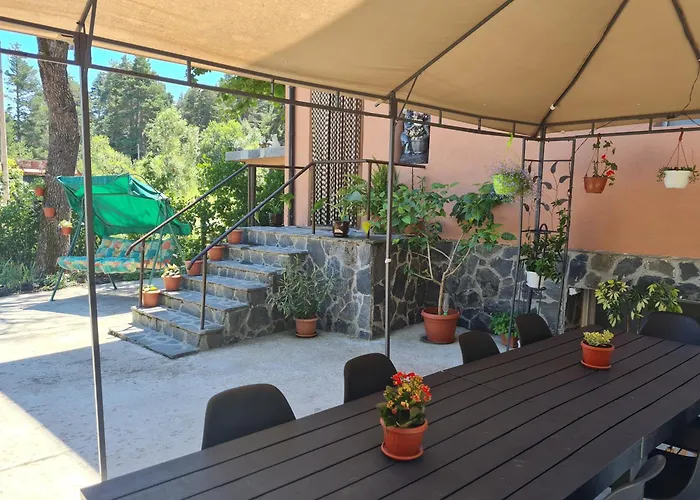 вайлин Батак