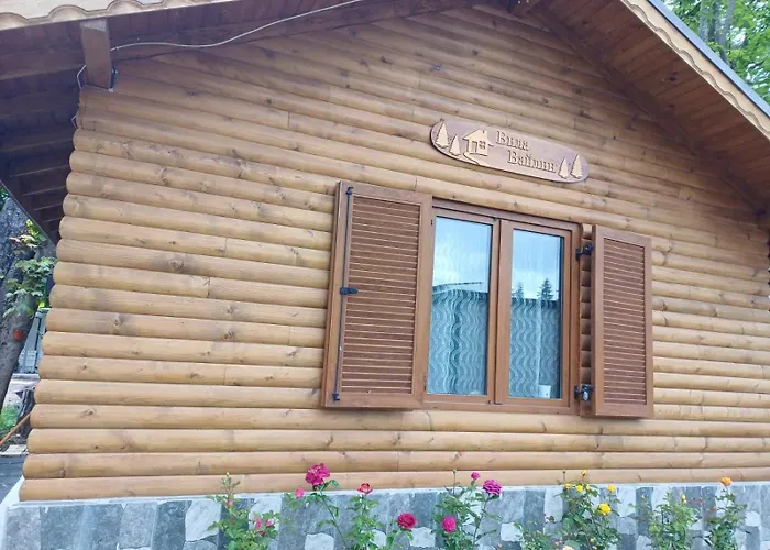 Ваканционна къща вайлин